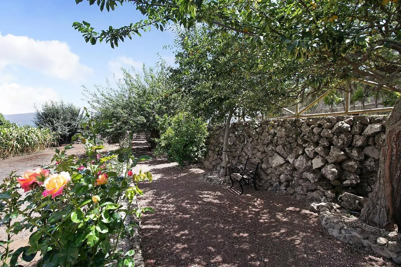 Finca Las Carmenes Icod De Los Vinos Villa
